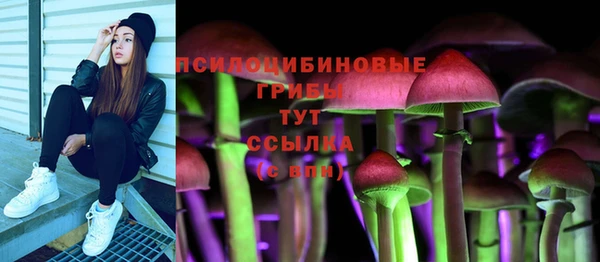 герыч Арсеньев