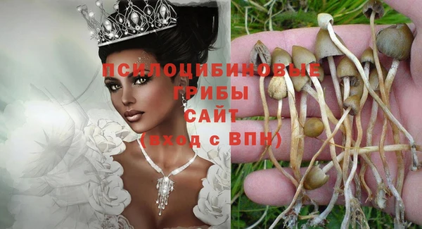 соль ск Аркадак