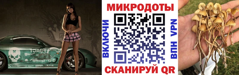 Купить где  Кировград  Галлюциногенные грибы мухоморы 