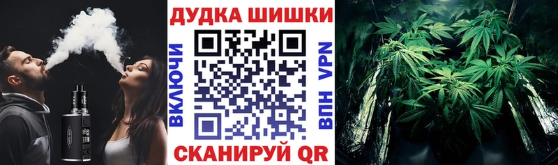 Купить  Кировград  Бошки марихуана семена 